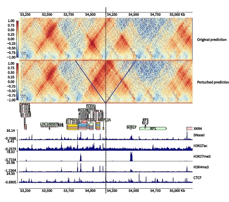 Open access visualization of Heatmap, Line Plot, Epiphany, CTCF, Hi-C