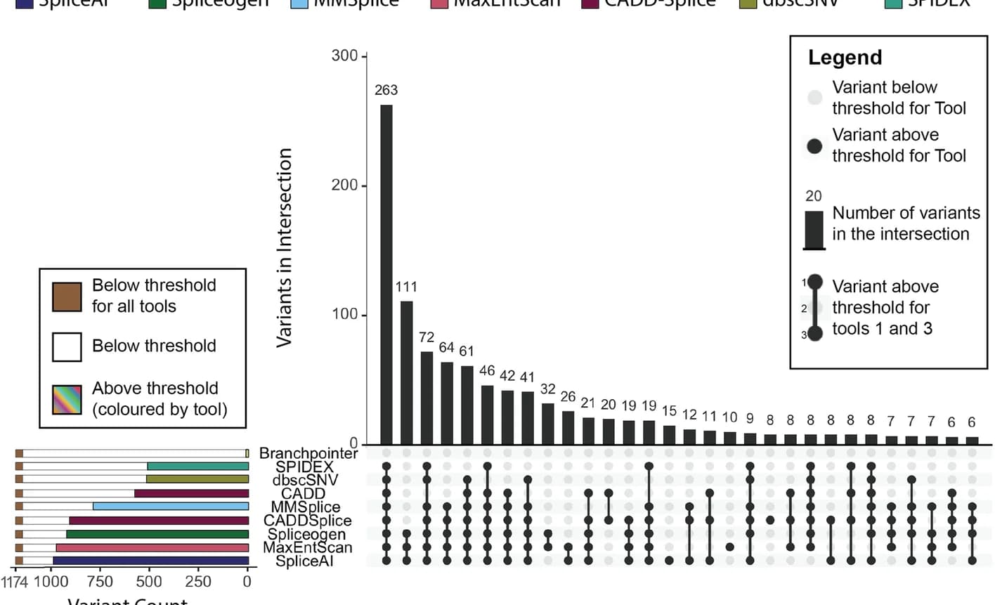 Open access visualization of Bar Plot, Stacked Bar Plot, Splice-altering variants, In silico tool, UpSet plot