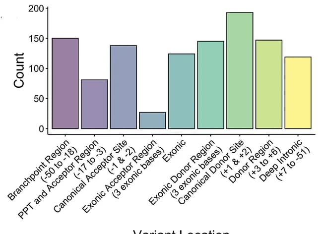 Open access visualization of Bar Plot, Splice-altering variants, Validation set, Intron-exon boundaries