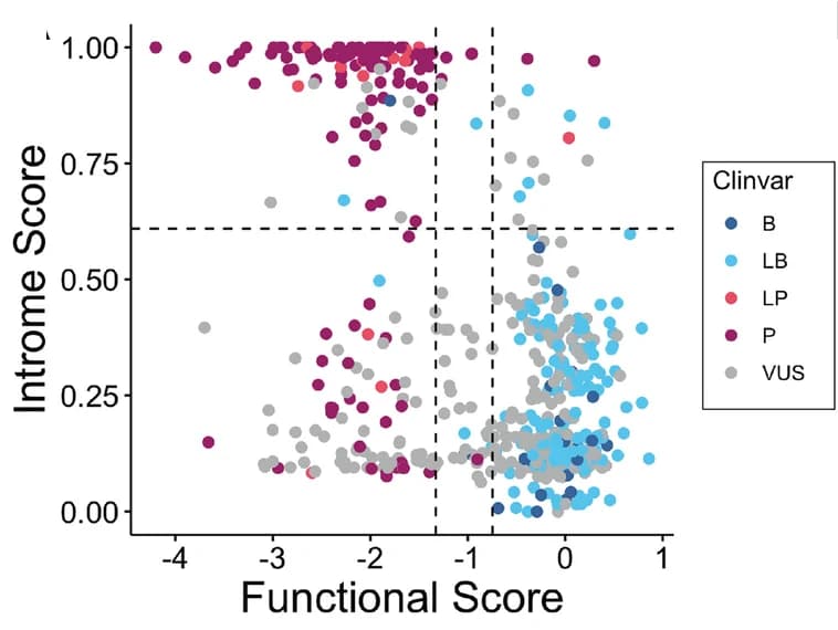 Open access visualization of Scatter Plot, Introme Scores, Functional Scores, BRCA1 Variants, Saturation Mutagenesis