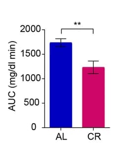 Open access visualization of Bar Plot, Error Bars, IPGTT Tests, Male Mice, Caloric Restriction