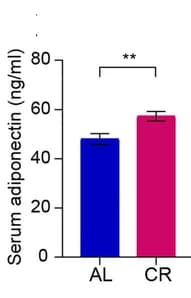 Open access visualization of Bar Plot, Error Bars, Serum Adiponectin, Serum Leptin, Male Mice