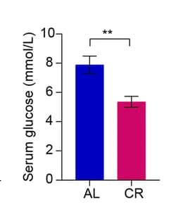 Open access visualization of Bar Plot, Error Bars, Serum Adiponectin, Serum Leptin, Male Mice