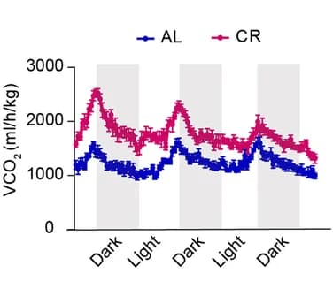 Open access visualization of Line Plot, Error Bars, Oxygen Consumption Rate, Carbon Dioxide Production, Energy Expenditure