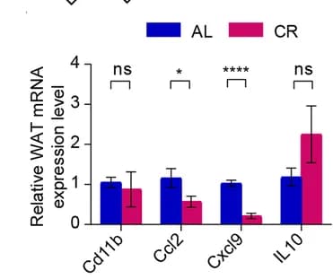 Open access visualization of Bar Plot, Error Bars, Clustered, mRNA Expression, Adipose Browning