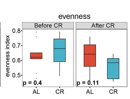 Open access visualization of Box Plot, Evenness, Feces, Mice