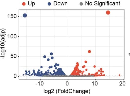 Open access visualization of Volcano Plot, Volcano Plots, Differentially Expressed Genes, AL Group, CR Group