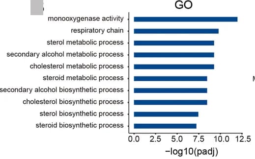 Open access visualization of Bar Plot, GO Analysis, Differentially Expressed Genes, AL Group, CR Group