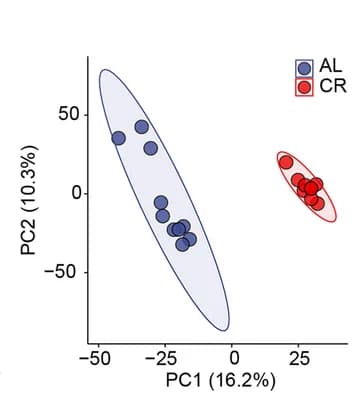 Open access visualization of Scatter Plot, PCA, OPLS-DA Analysis, Liver Metabolites, AL Group