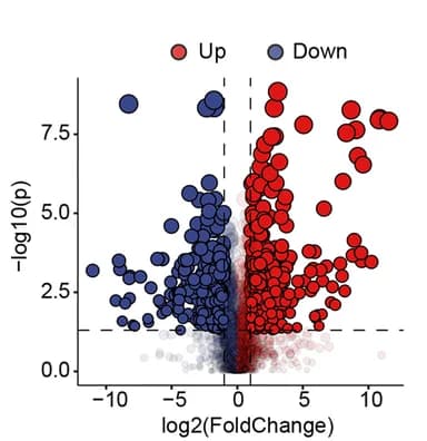 Open access visualization of Volcano Plot, Scatter Plot, Bubble Plot, Volcano Plots, Differentially Expressed Metabolites