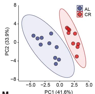 Open access visualization of Scatter Plot, PCA, OPLS-DA Analysis, Hepatic Targeting, Bile Acid Metabolomics