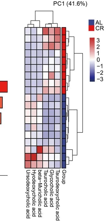 Open access visualization of Heatmap, Clustered, Identified Differential Bile Acids, AL Group, CR Group