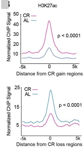 Open access visualization of Line Plot, H3K27ac, H3K4me1, ATAC, Chromatin Accessibility