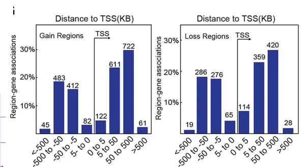 Open access visualization of Bar Plot, H3K27ac, TSS, Genomic Distance