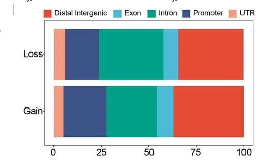Open access visualization of Stacked Bar Plot, H3K27ac, Genomic Features
