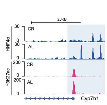 Open access visualization of Line Plot, Density Plot, ChIP-seq, HNF4alpha, H3K27ac