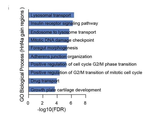 Open access visualization of Bar Plot, GO Pathway Analysis, HNF4alpha, Binding Sites, Genomic Loci