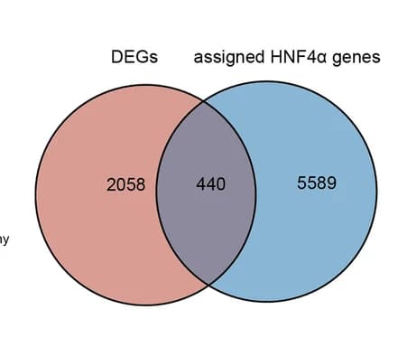 Open access visualization of Venn Diagram, Differentially Expressed Genes, Caloric Restriction, HNF4alpha, Genomic Peaks