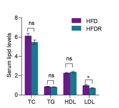 Open access visualization of Bar Plot, Error Bars, Clustered, Serum Lipids, Male Mice