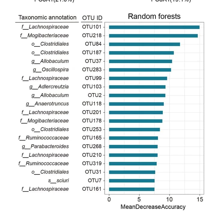 Open access visualization of Bar Plot, OTUs, Gut Microbiota, Random Forests Analysis