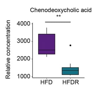 Open access visualization of Box Plot, Concentrations, Bile Acids, HFD, HFDR