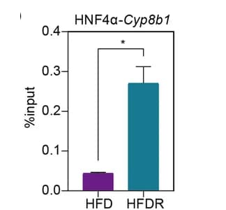 Open access visualization of Bar Plot, Error Bars, ChIP-qPCR, Cyb8b1, HNF4a