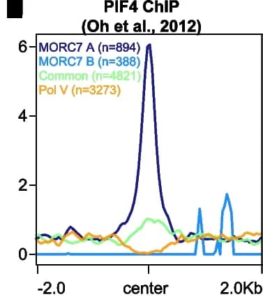 Open access visualization of Line Plot, Volcano Plot, Proteins, MORC7, Crosslinked IP-MS