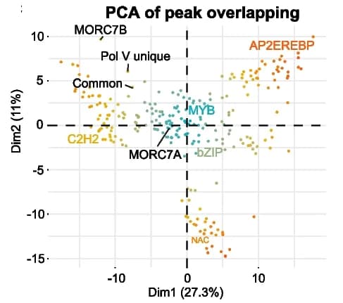 Open access visualization of Scatter Plot, PCA, Graph, DAP-seq Peaks, Transcription Factors