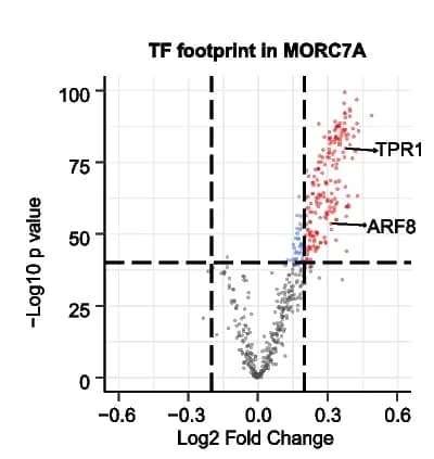 Open access visualization of Volcano Plot, Scatter Plot, TF footprints, MORC7A regions, morchex