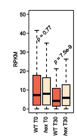 Open access visualization of Box Plot, Boxplot, Gene Expression, LUG, Col-0