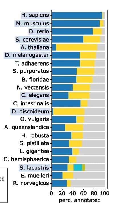 Open access visualization of Stacked Bar Plot, Bar Plot, EggNOG, MorF, Protein Annotations