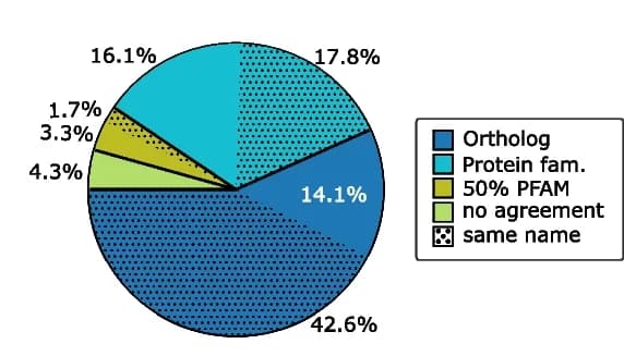 Open access visualization of Pie Chart, EggNOG, MorF, Annotations, Ortholog
