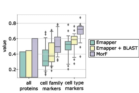 Open access visualization of Bar Plot, Box Plot, Annotations, Protein Categories, Spongilla lacustris