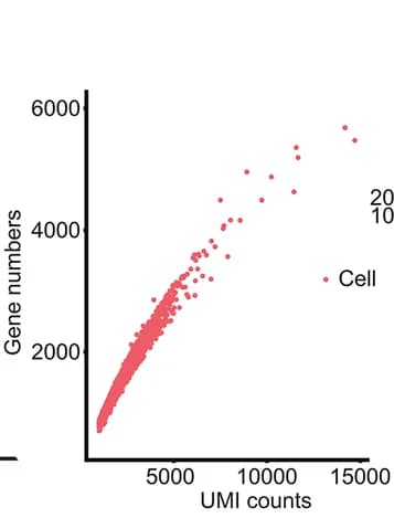 Open access visualization of Scatter Plot, Regression Plot, UMI counts, Detected genes, Species-mixing experiments