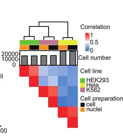 Open access visualization of Heatmap, Clustered, Bar Plot, Pairwise correlations, Hierarchical clustering