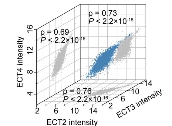 Open access visualization of 3D Plot, mRNA Expression, Correlation Analysis, Arabidopsis, ATTED-II Database