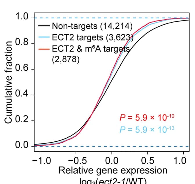 Open access visualization of Line Plot, mRNA expression, ECT2 targets, m6A targets