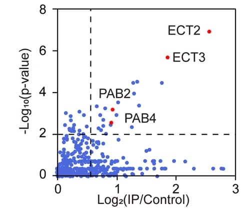 Open access visualization of Scatter Plot, Volcano Plot, Arabidopsis, Proteins, ECT2