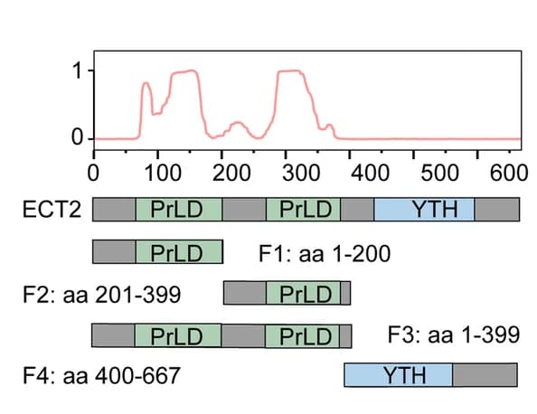 Open access visualization of Line Plot, Illustration, PrLDs, Prion-like Amino Acid Composition, PLAAC