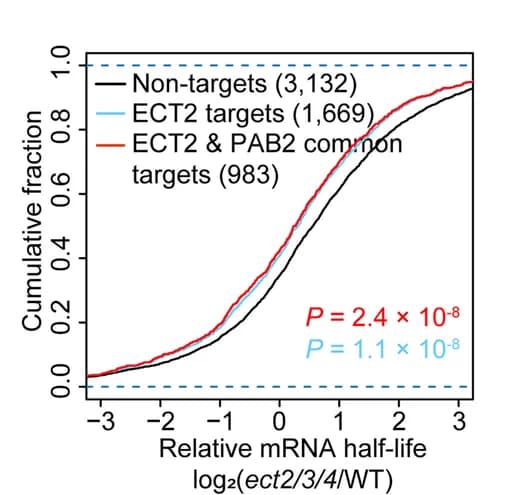 Open access visualization of Line Plot, mRNA Half-life, ect2/3/4, Wild Type, Non-targets