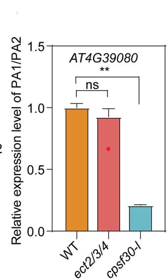 Open access visualization of Bar Plot, Error Bars, Relative Expression, Proximal Transcripts, Distal Transcripts