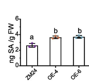 Open access visualization of Bar Plot, Error Bars, SA Content, Sample Leaves, HPLC