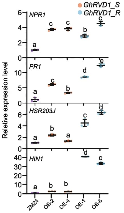 Open access visualization of Scatter Plot, Error Bars, SAR Markers, HR Markers, Overexpression