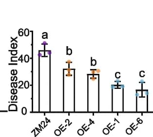 Open access visualization of Bar Plot, Error Bars, Disease Index, DPI