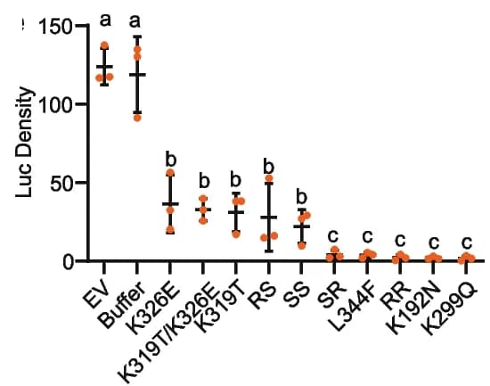 Open access visualization of Scatter Plot, Error Bars, LUC Activity, LUC Plasmid, TIR1-TIR2 Variants