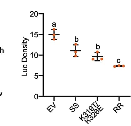 Open access visualization of Error Bars, Cell Death Phenotype, Cotton Protoplast, Cell Viability Assays, Protoplast Preparation