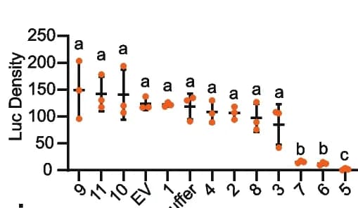 Open access visualization of Scatter Plot, Error Bars, LUC Activity, LUC Plasmid, Truncated Derivatives