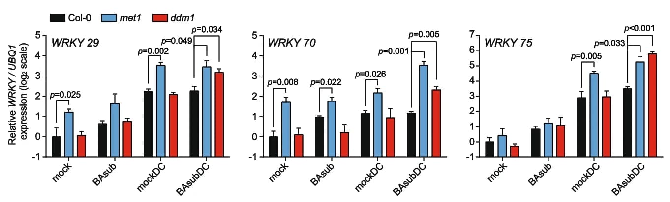 Open access visualization of Bar Plot, Error Bars, Clustered, WRKY Genes, Col-0 Plants