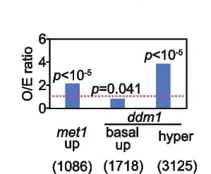 Open access visualization of Bar Plot, Observed to Expected Ratio, ETI Hyper Genes, Gene Overlaps, ddm1