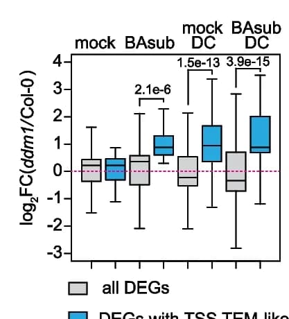 Open access visualization of Box Plot, Gene Expression, DEGs, TSS